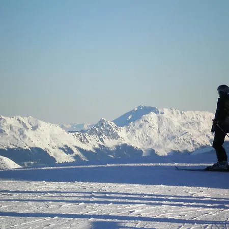 Eckartauerhof מלון