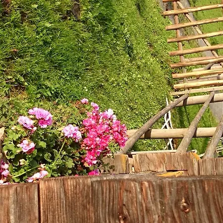 Eckartauerhof Otel 3*