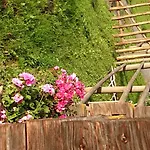 Eckartauerhof Hotel 3*