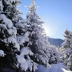 Eckartauerhof مايرهوفن