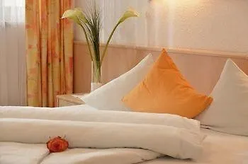 Отель Eckartauerhof 3*