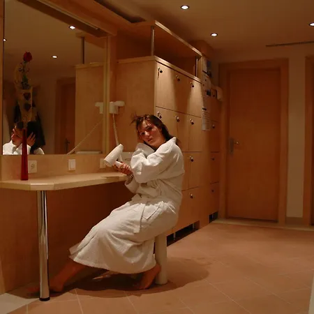 Eckartauerhof 3* Майрхофен
